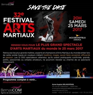501671_festival-des-arts-martiaux