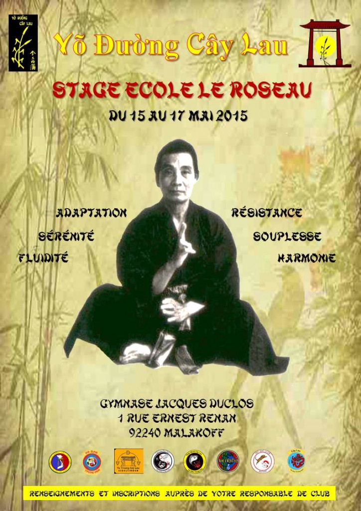 Affiche Stage France Mai 2015